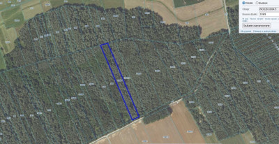 Posadź las w Wodźkach - Wodźki  -
Podlaskie Zdjęcie nr 4