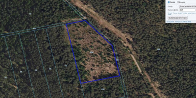 Posadź Swój własny las w Starych Jemielitych - Stare Jemielite  -
Podlaskie Zdjęcie nr 2