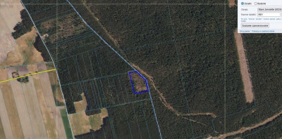 Posadź Swój własny las w Starych Jemielitych - Stare Jemielite  -
Podlaskie Zdjęcie nr 4