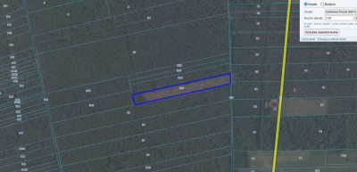 Twój własny hektar nowego lasu - Kańkowo-Piecki  -
Mazowieckie Zdjęcie nr 4