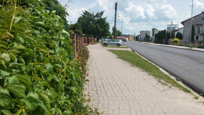 Działka budowlana  centrum 2606 m - Jędrzejów  -
Świętokrzyskie Zdjęcie nr 4