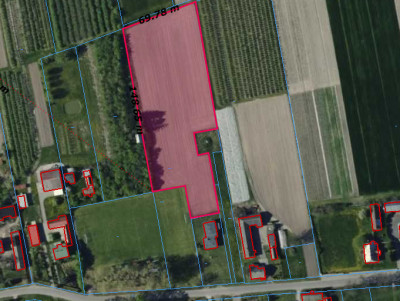 Działka wśród sadów i zieleni  Kompina - Kompina  -
Łódzkie Zdjęcie nr 4