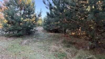 Idealna działka  z warunkami zabudowy - Józefów  -
Łódzkie Zdjęcie nr 3