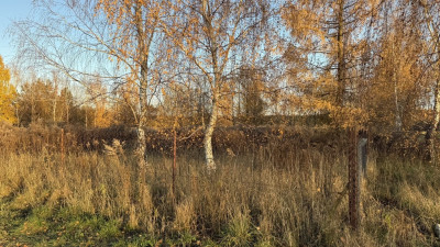 Idealna działka  z warunkami zabudowy - Józefów  -
Łódzkie Zdjęcie nr 6