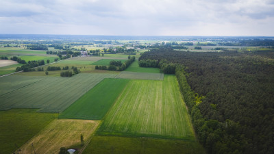 Działka budowlana w spokojnej okolicy k Zgierza - Kwilno  -
Łódzkie Zdjęcie nr 4