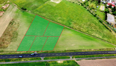 Kolsko  5 działek budowlanych media w drodze - Kolsko  -
Lubuskie Zdjęcie nr 5