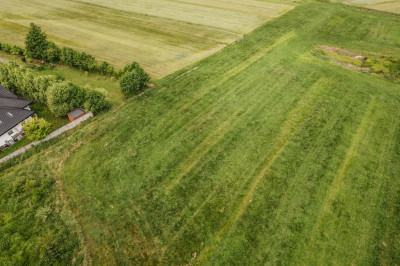 Działka 4988 m w Kaliszu-natura i miasto w jednym - Kalisz  -
Wielkopolskie Zdjęcie nr 7