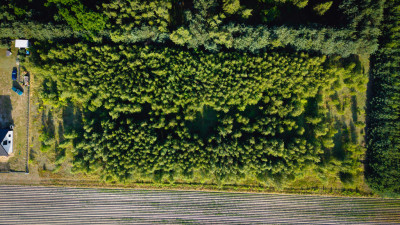 Azyl przy lesie  cisza gwarantowana - Boczki  -
Łódzkie Zdjęcie nr 3