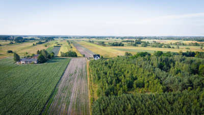 Azyl przy lesie  cisza gwarantowana - Boczki  -
Łódzkie Zdjęcie nr 7