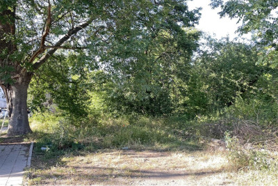 REZERWACJA - Chojny  -
Łódzkie Zdjęcie nr 4