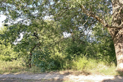 REZERWACJA - Chojny  -
Łódzkie Zdjęcie nr 6