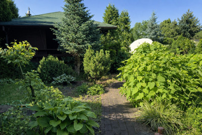 ROD w Łodzi z nowym domkiem  wyposażenie w cenie - Łódź  -
Łódzkie Zdjęcie nr 12