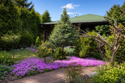 ROD w Łodzi z nowym domkiem  wyposażenie w cenie - Łódź  -
Łódzkie Zdjęcie nr 9