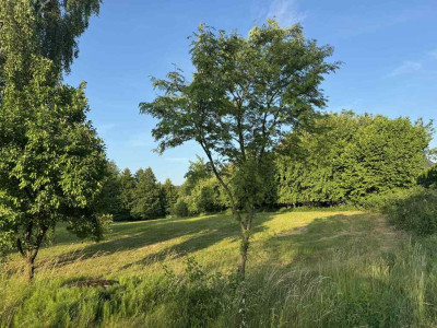 Twoje 1417 m  - działka Borówiec - Borówiec  -
Wielkopolskie Zdjęcie nr 6