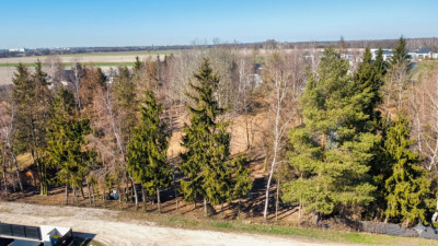 Działka Szczepankowo przygotowana pod dom - Szczepankowo  -
Wielkopolskie Zdjęcie nr 2