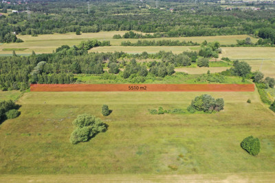 Duża działka budowlana z ogromnym potencjałem - Dobczyn  -
Mazowieckie Zdjęcie nr 10