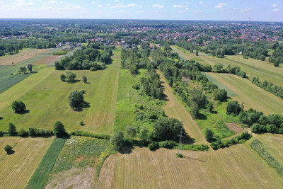 Duża działka budowlana z ogromnym potencjałem - Dobczyn  -
Mazowieckie Zdjęcie nr 6