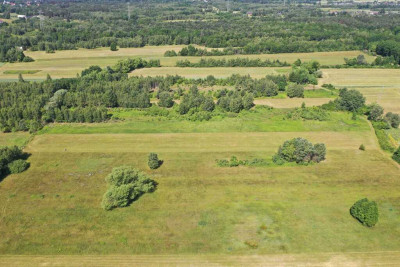 Duża działka budowlana z ogromnym potencjałem - Dobczyn  -
Mazowieckie Zdjęcie nr 8