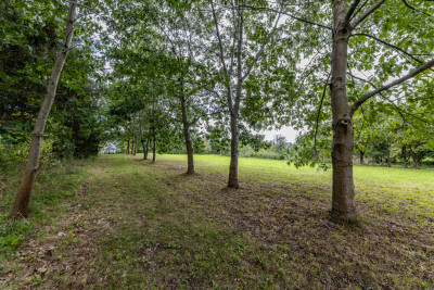 Stwórz miejsce do którego ludzie będą wracać - Świekatowo  -
Kujawsko-Pomorskie Zdjęcie nr 9