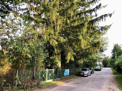 Mikroklimat Smukały i 1812 m Twojej prywatności - Bydgoszcz  -
Kujawsko-Pomorskie Zdjęcie nr 11