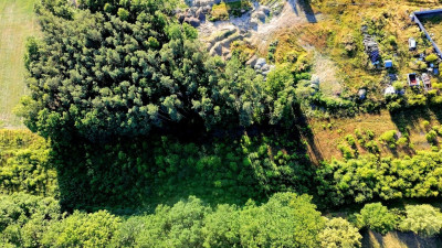 Pierwsza już sprzedana zostało 11 - Olbrachtów  -
Lubuskie Zdjęcie nr 3