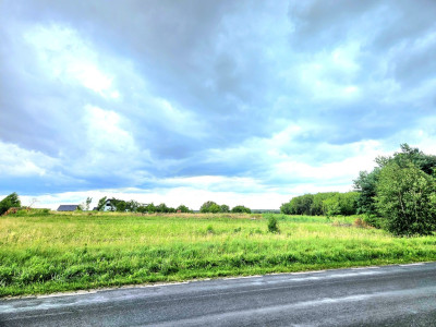 Działka duża duża i jeszcze większa - Dębno  -
Zachodniopomorskie Zdjęcie nr 11