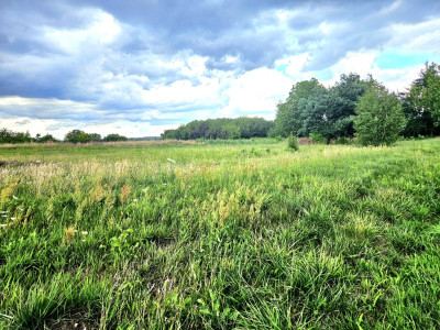 Działka duża duża i jeszcze większa - Dębno  -
Zachodniopomorskie Zdjęcie nr 12