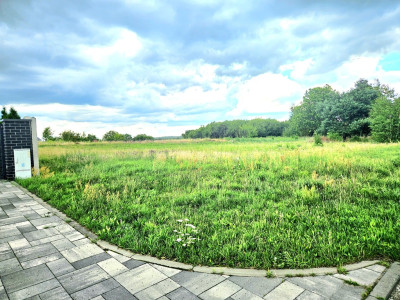 Działka duża duża i jeszcze większa - Dębno  -
Zachodniopomorskie Zdjęcie nr 13