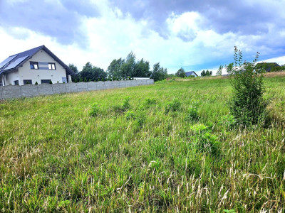 Działka duża duża i jeszcze większa - Dębno  - Zachodniopomorskie