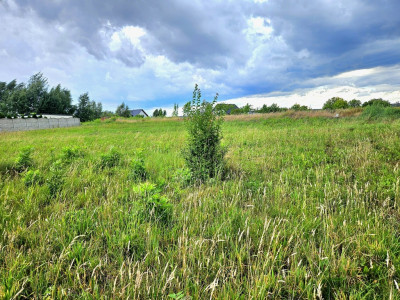 Działka duża duża i jeszcze większa - Dębno  -
Zachodniopomorskie Zdjęcie nr 4