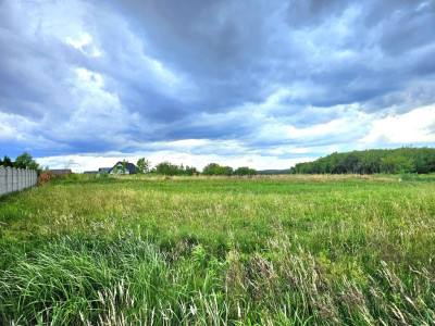 Działka duża duża i jeszcze większa - Dębno  -
Zachodniopomorskie Zdjęcie nr 6