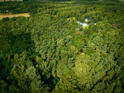 Leśne zacisze czeka na Ciebie - Księstwo  -
Łódzkie Zdjęcie nr 10