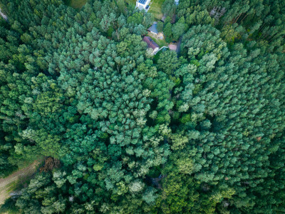 Leśne zacisze czeka na Ciebie - Księstwo  -
Łódzkie Zdjęcie nr 5
