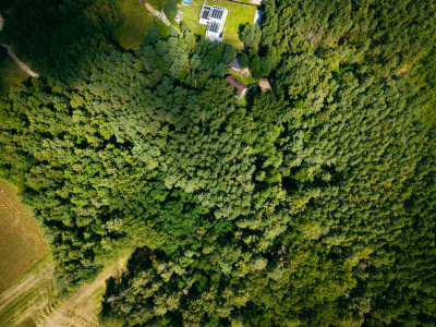 Leśne zacisze czeka na Ciebie - Księstwo  -
Łódzkie Zdjęcie nr 7