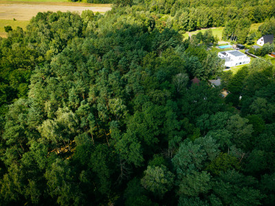 Leśne zacisze czeka na Ciebie - Księstwo  -
Łódzkie Zdjęcie nr 9
