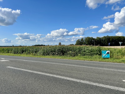 15 ustawnych działek - WZ w procesie droga asfalt - Kębliny  - Łódzkie