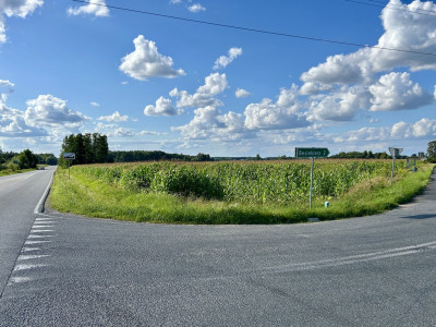 15 ustawnych działek - WZ w procesie droga asfalt - Kębliny  -
Łódzkie Zdjęcie nr 2