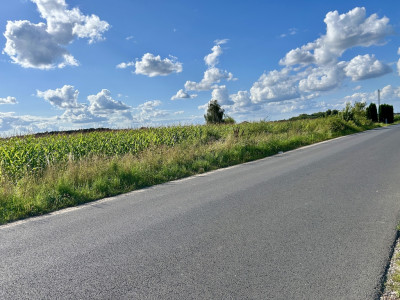 15 ustawnych działek - WZ w procesie droga asfalt - Kębliny  -
Łódzkie Zdjęcie nr 5