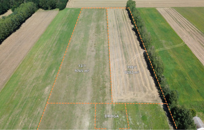 Rola z możliwością zabudowy - Grabostów gm Zelów - Grabostów  -
Łódzkie Zdjęcie nr 2