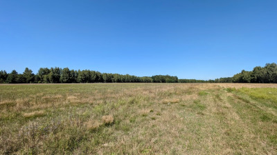 Rola z możliwością zabudowy - Grabostów gm Zelów - Grabostów  -
Łódzkie Zdjęcie nr 3