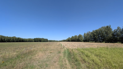 Rola z możliwością zabudowy - Grabostów gm Zelów - Grabostów  -
Łódzkie Zdjęcie nr 5