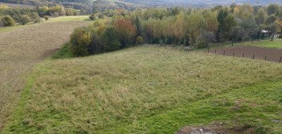 Urokliwa działka w Komborni z widokiem na góry - Kombornia  -
Podkarpackie Zdjęcie nr 3