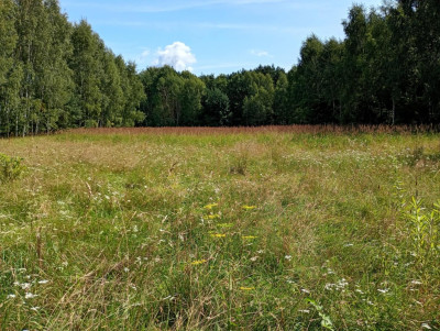 Działka na odludziu Tak i to konkretna - Holendry  -
Świętokrzyskie Zdjęcie nr 10