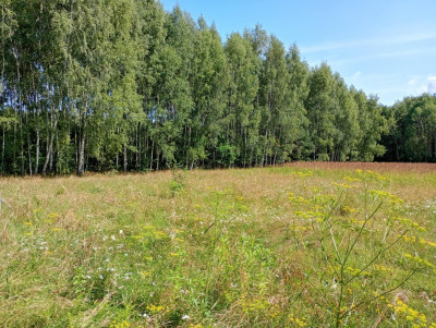 Działka na odludziu Tak i to konkretna - Holendry  -
Świętokrzyskie Zdjęcie nr 11