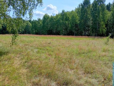 Działka na odludziu Tak i to konkretna - Holendry  - Świętokrzyskie