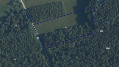 Działka na odludziu Tak i to konkretna - Holendry  -
Świętokrzyskie Zdjęcie nr 2