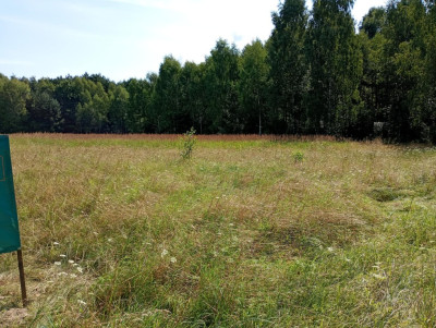 Działka na odludziu Tak i to konkretna - Holendry  -
Świętokrzyskie Zdjęcie nr 6