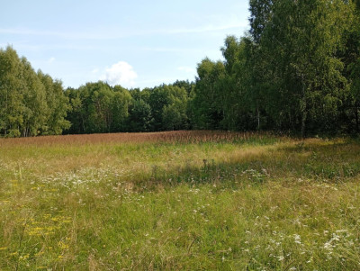 Działka na odludziu Tak i to konkretna - Holendry  -
Świętokrzyskie Zdjęcie nr 9