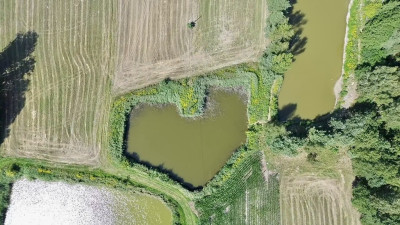 Prywatny zakątek w sercu przyrody - Pałczew  - Łódzkie