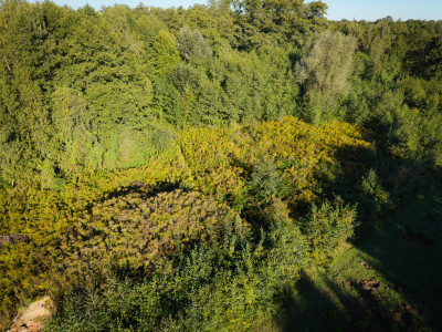 Działka na której usłyszysz szum morza - Rąbień  -
Łódzkie Zdjęcie nr 12